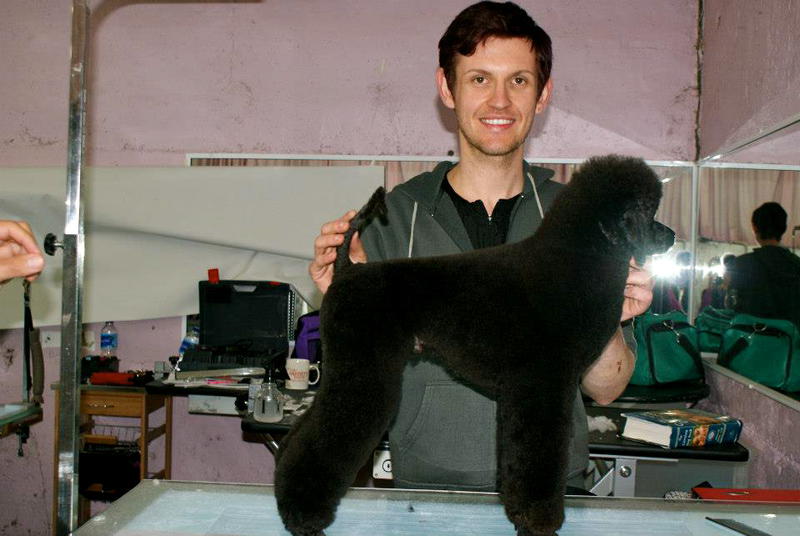 Shear Elegance Pet Styling