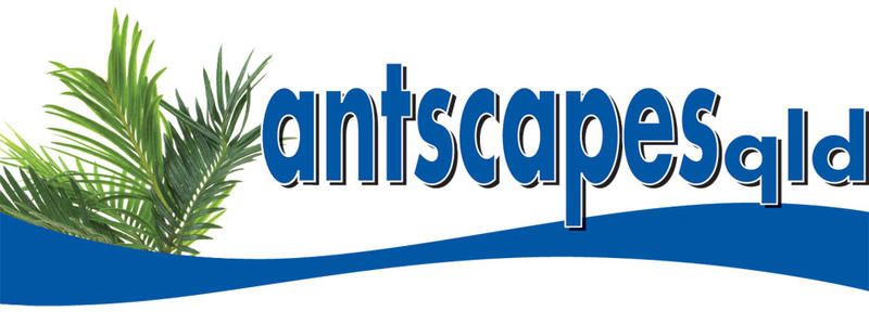 Antscapes Qld logo