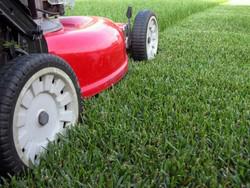 Jim's Mowing: Mt Ousley
