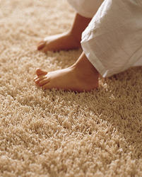 Carpet Cleaning St Kilda East