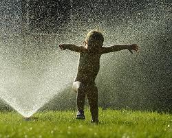 Aarons Gardening and Reticulation