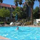 Dependable Pool Care