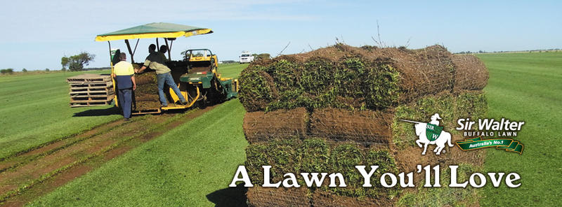 The Turf Farm