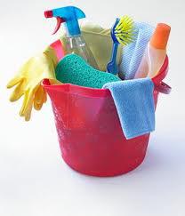 Cleaners Thornbury logo