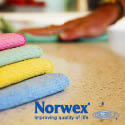 Norwex: Suzi Perryman