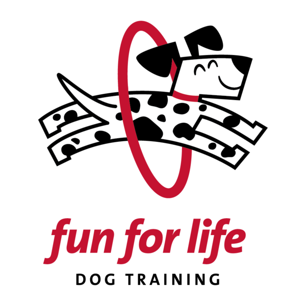 Fun For Life