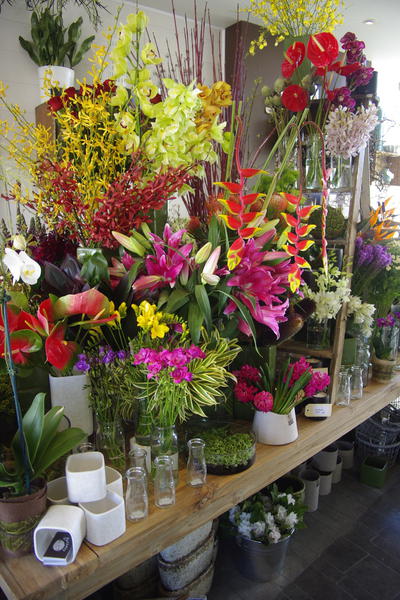 Botanics