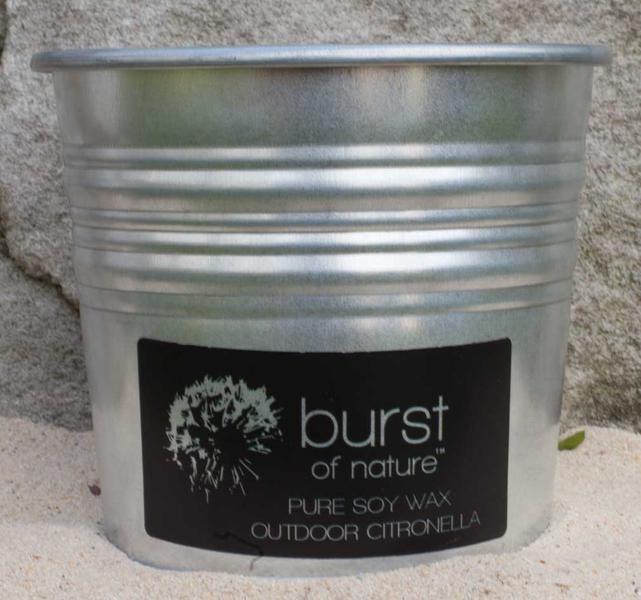 Burst of Nature
