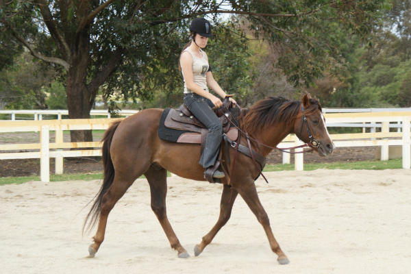Perth Horse Riding Centre