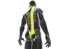 Eumundi Chiropractic logo