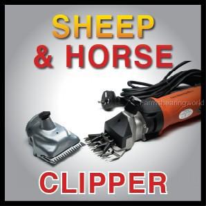 Shearing and Fencing