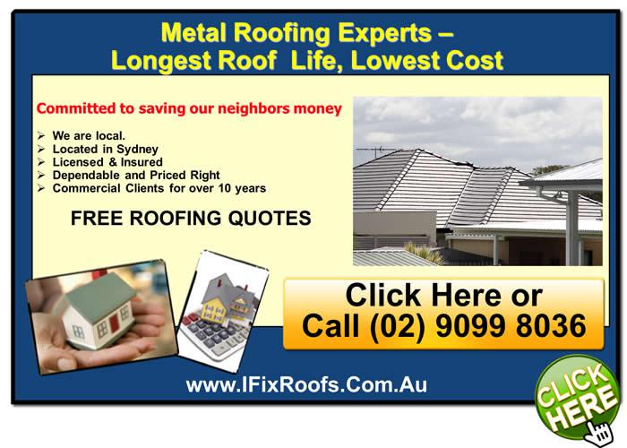 I Fix Roofs