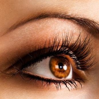 Lady Lash