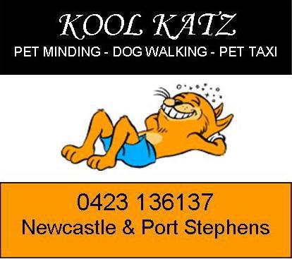 Kool Katz Pet Minding