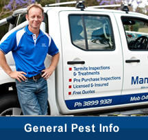 Drought Termite Management