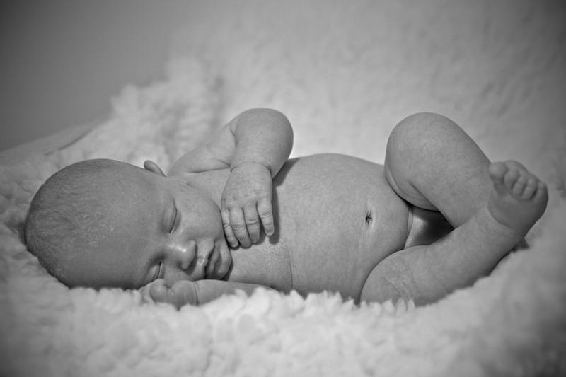 Chelle Van Photography
