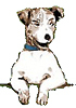 Jack Russell Rescue logo