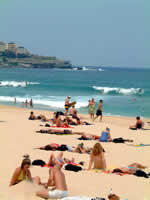 Bondi Serviced Apartrments
