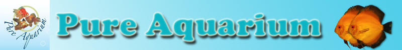 Pure Aquarium