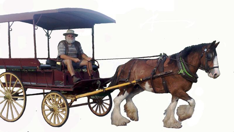 Morpeth Trading Post