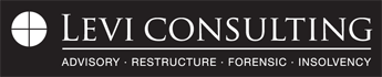 Levi Consulting logo