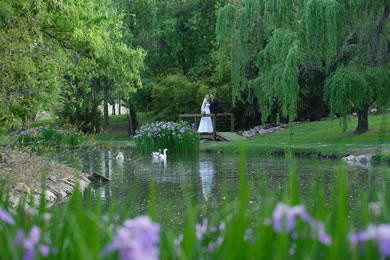 The Pavillion Function Centre