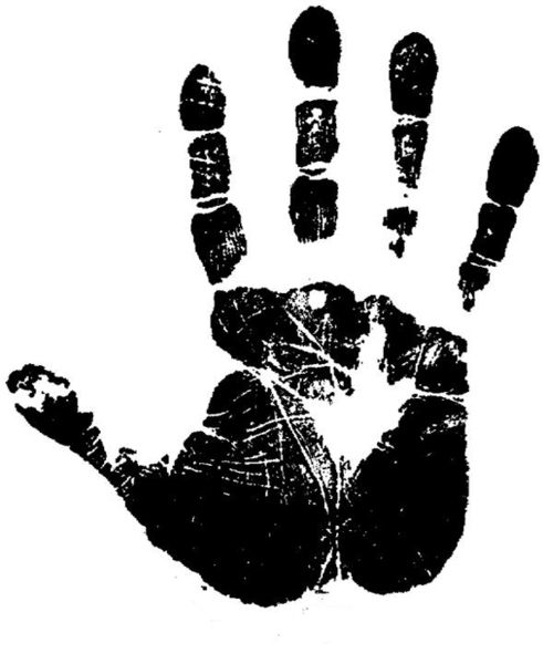 All Hands Rubbish Removals