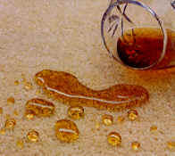 Chem-Dry Carpet Solutions QLD