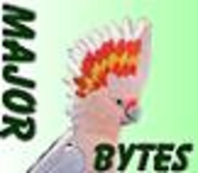 Major Bytes