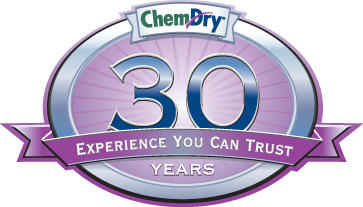 Chem Dry Pro