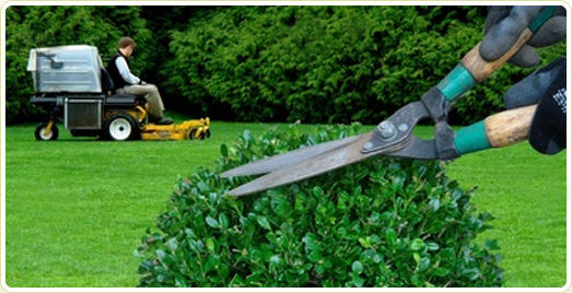 Northside Property & Garden Care