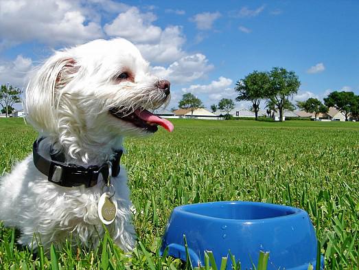A Walk in the Park