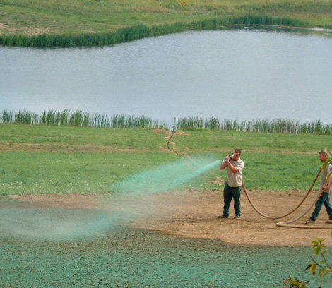 Ecoseeding