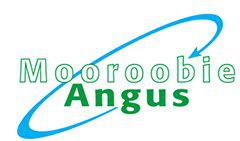 Mooroobie Angus