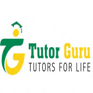 Assignment Help Guru