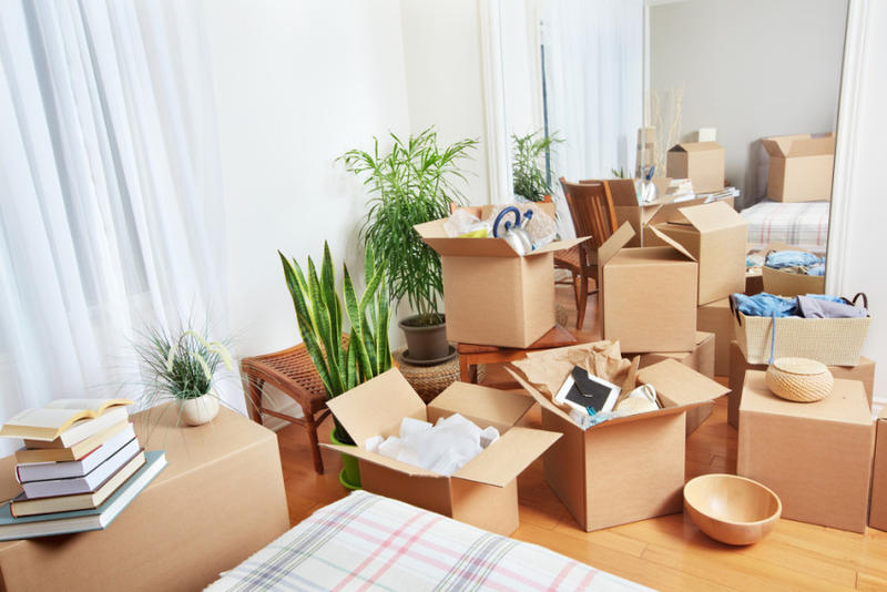Xtra Care Removalists