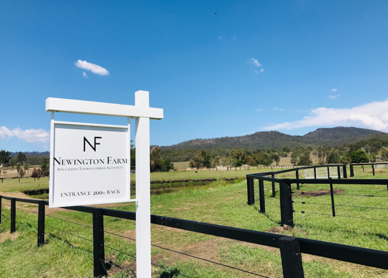 Newington Farm