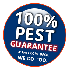 Elite Pest Control: Clear Island Waters