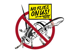 No Flies on Us!