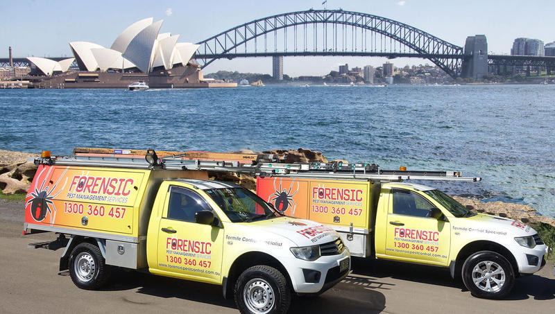Forensic Pest Management Services