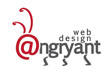 Angry Ant Web Design