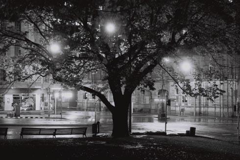 John Cuthbertson Photography