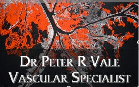 Associate Professor Peter Vale: Darlinghurst