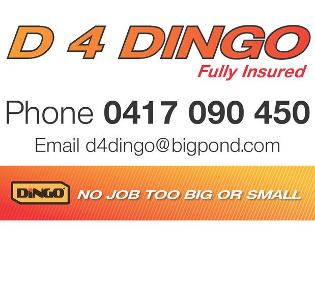 D 4 Dingo
