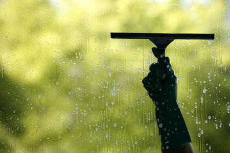 Wholly Window Services