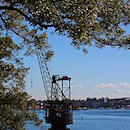 SignaturePhoto