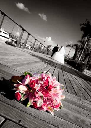 Simon Trew Photography