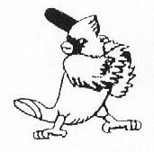 Nerang Cardinals Baseball Club