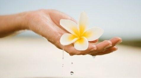 Beachside Nail Spa