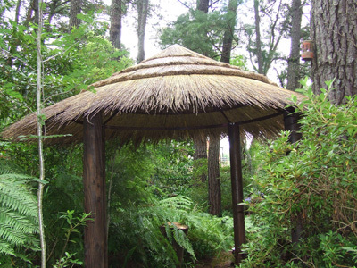 Sandy Thatch
